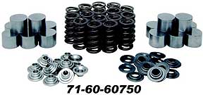 KPM Valve Spring Kit Shim in Tappet