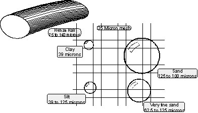 Micron Illustration